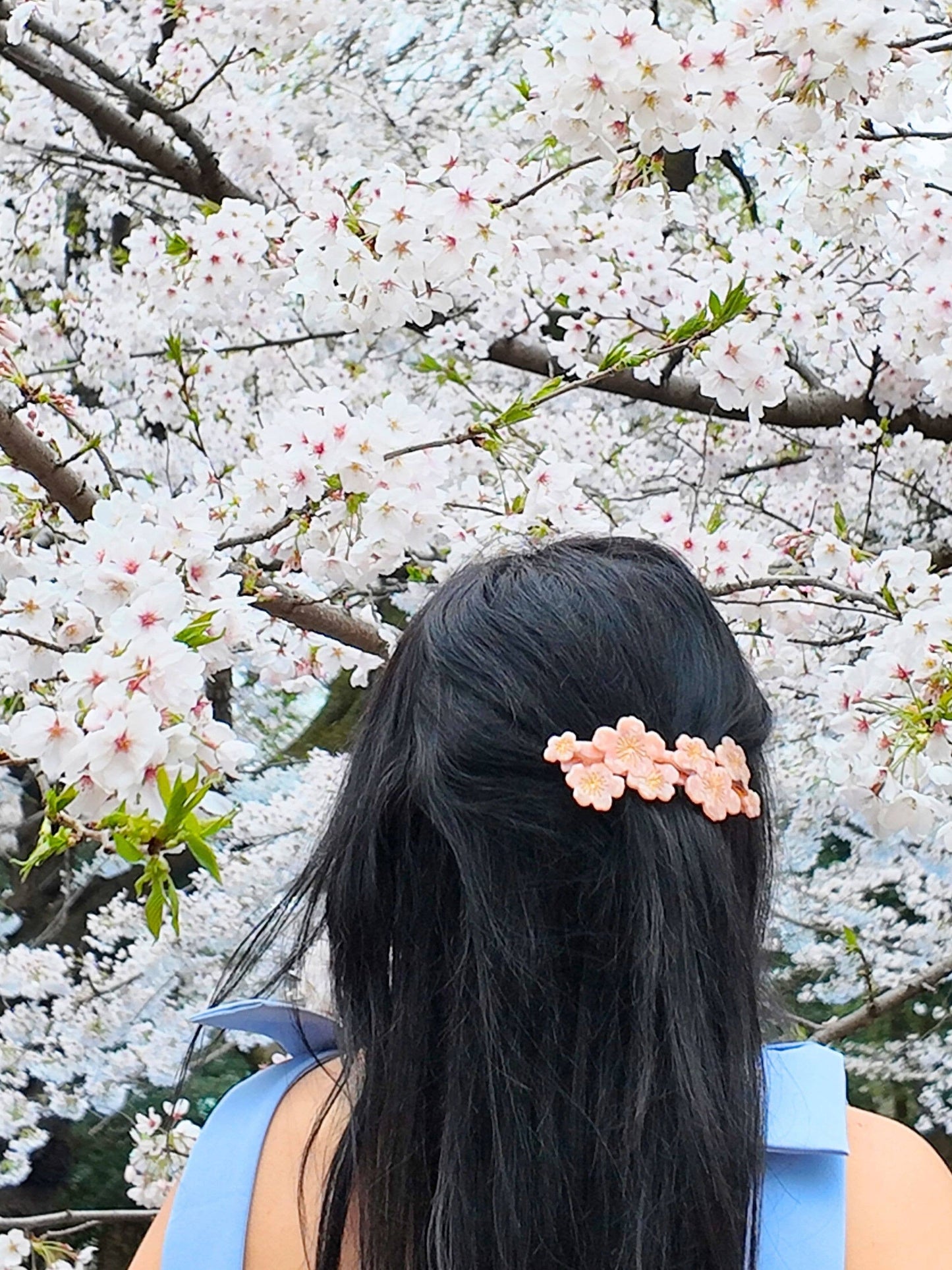 Hand-painted Cherry Blossom French Barrette Hair Clip | Eco-