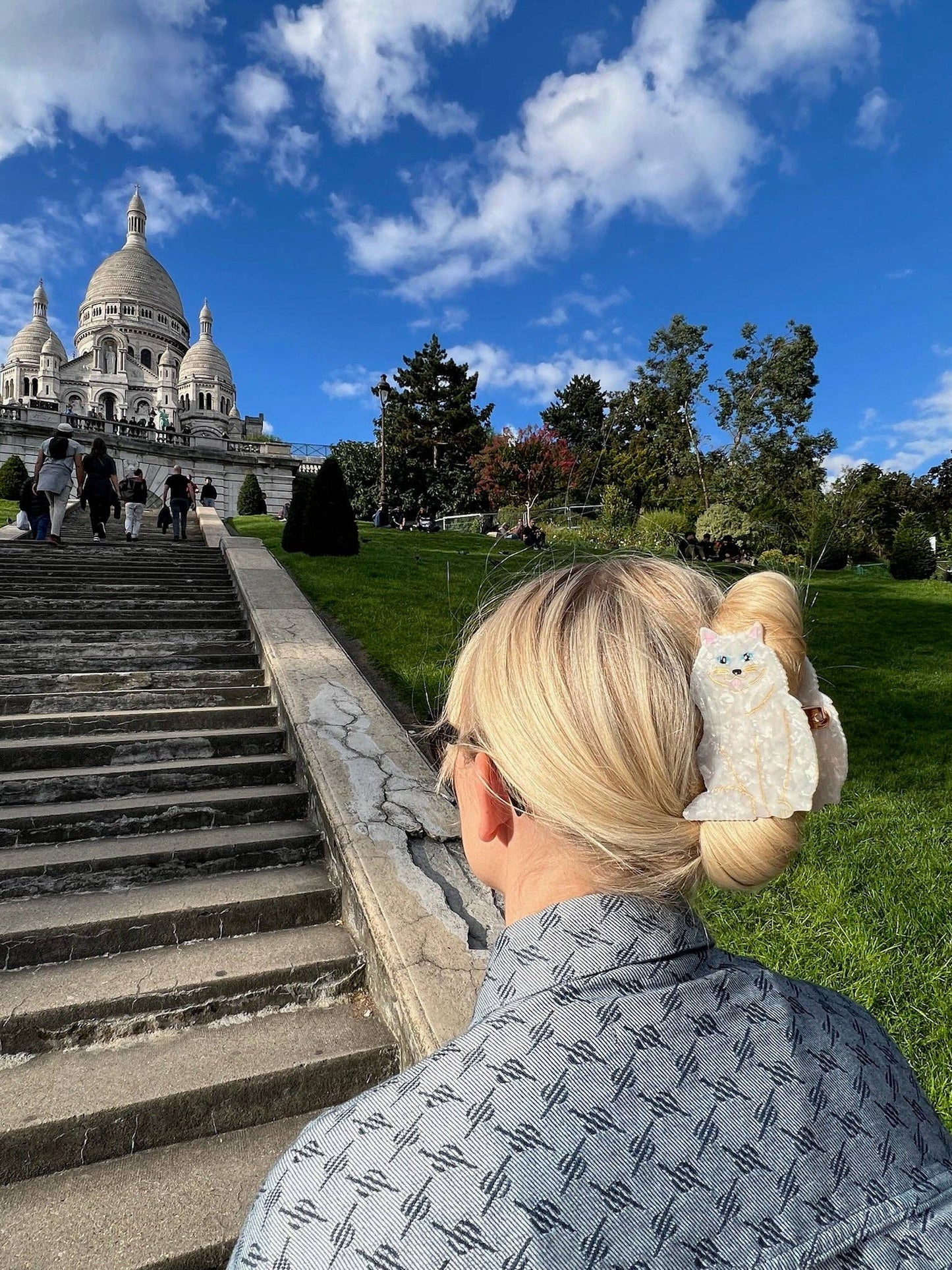 Hand-painted Persian Cat Claw Hair Clip | Eco-Friendly